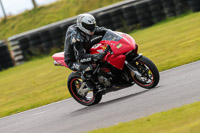 PJ-Motorsport-2019;anglesey-no-limits-trackday;anglesey-photographs;anglesey-trackday-photographs;enduro-digital-images;event-digital-images;eventdigitalimages;no-limits-trackdays;peter-wileman-photography;racing-digital-images;trac-mon;trackday-digital-images;trackday-photos;ty-croes